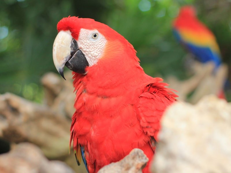 xcaret_03